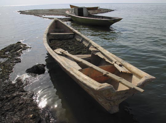 Рыбацкие лодки на берегу Малого Арала