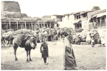 Вид старогородского базара в начале ХХ века