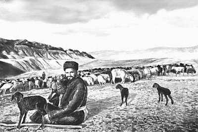 Сурхандарьинская область. Отара овец в горах Байсунтау.